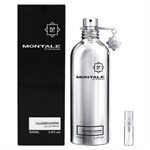 Montale Paris Fougeres Marines - Eau De Parfum - Geurmonster - 2 ml